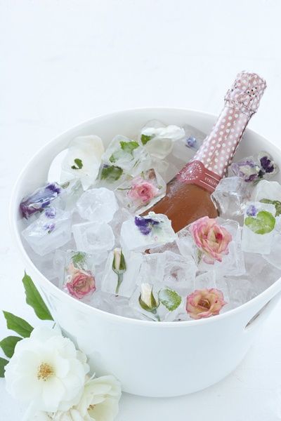 photo drink1-1.jpg