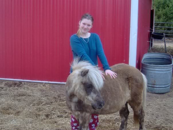 Thoughts on old pony with diarrhea? - Equine