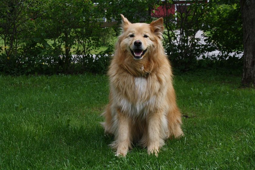 photo 0007_zps858ce49d.jpg