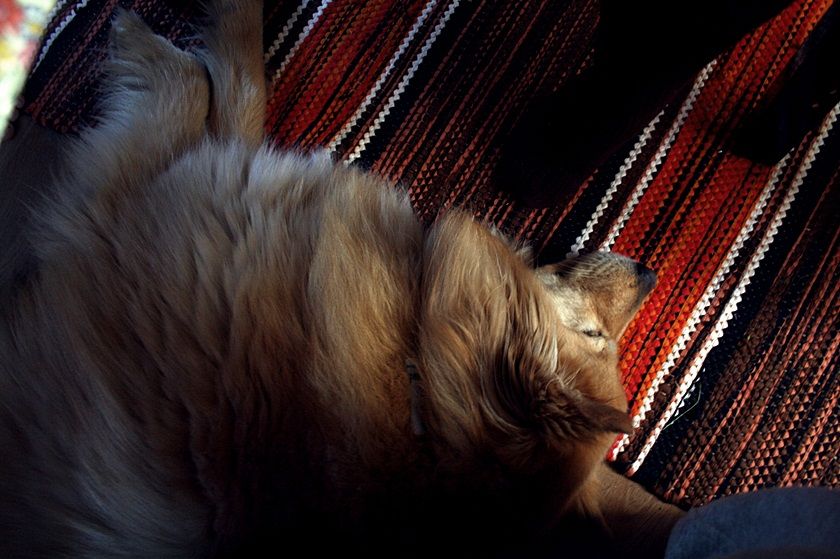 photo 10_zps22765027.jpg