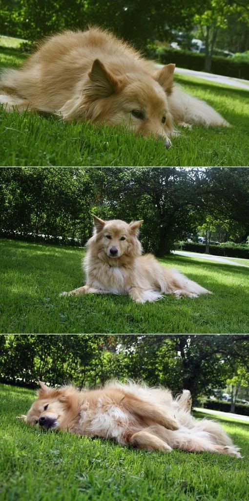 photo 16_zpscd883556.jpg