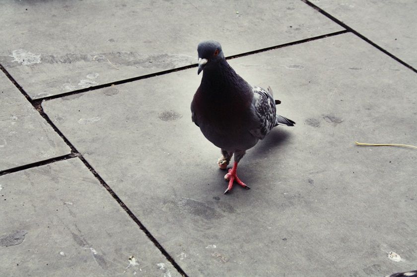 photo 18_zps20a9e3c9.jpg