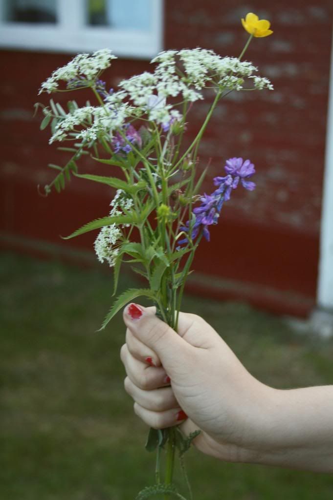 photo 23_zpscc92c01c.jpg