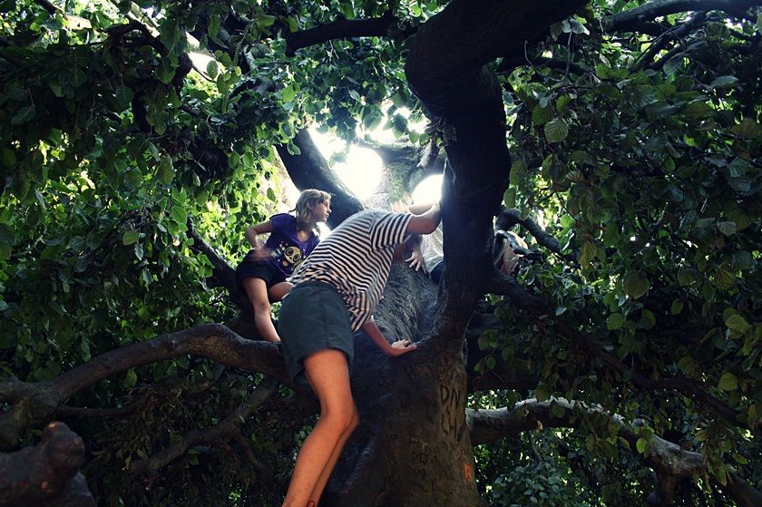  photo 30_zpse1fc6fd8.jpg