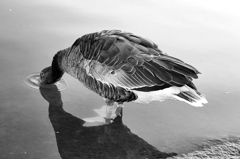  photo 32_zps6a33cd0c.jpg