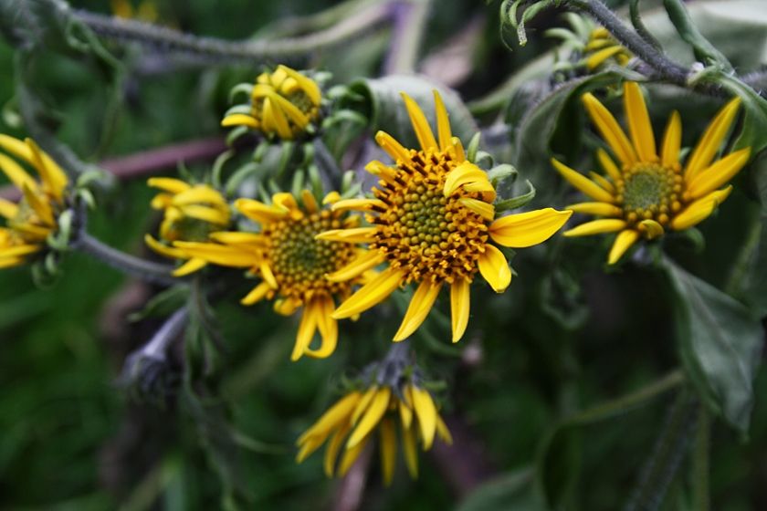  photo 3_zps7d1dfef0.jpg