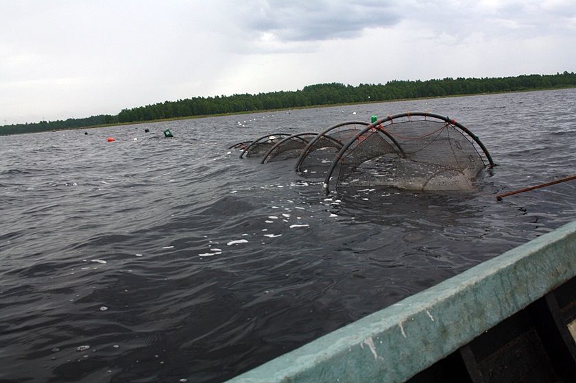 photo 3_zps96e8a981.jpg