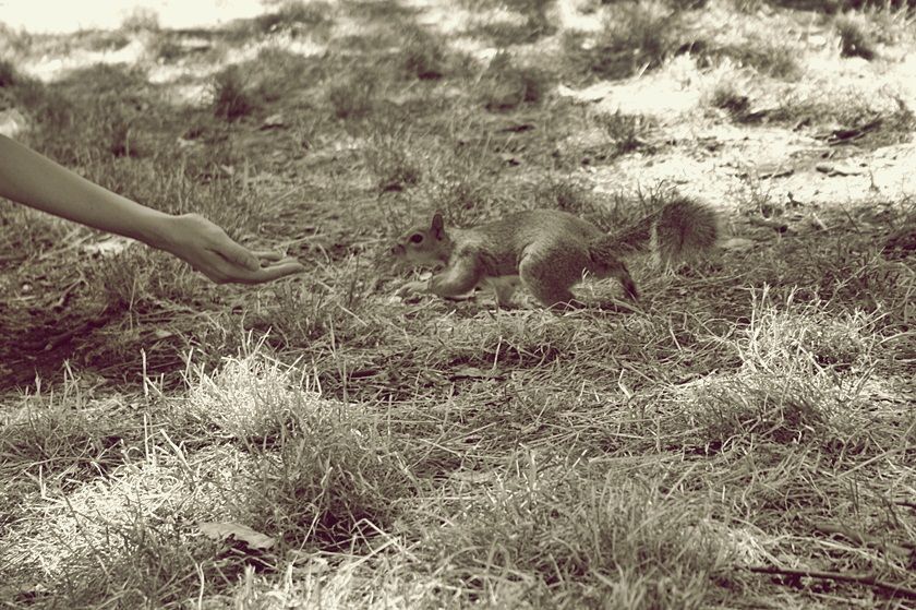  photo 49_zps7f308b91.jpg