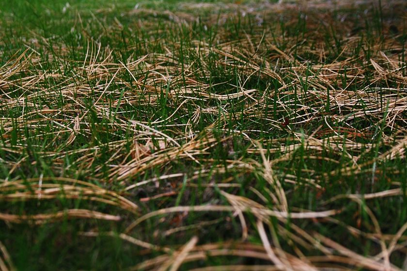  photo 4_zps17893029.jpg