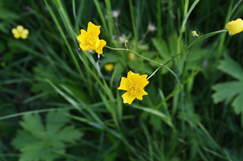 photo 4_zps61c04e2e.jpg