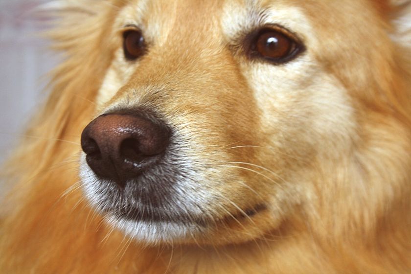 photo 4_zps8cd3007a.jpg