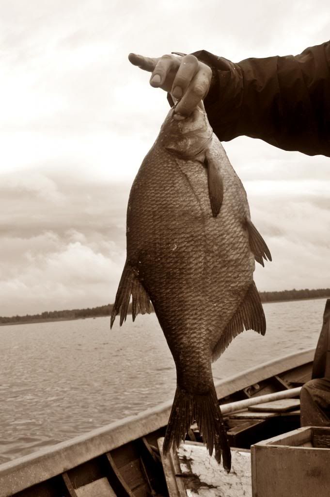 photo 4_zps9552619d.jpg