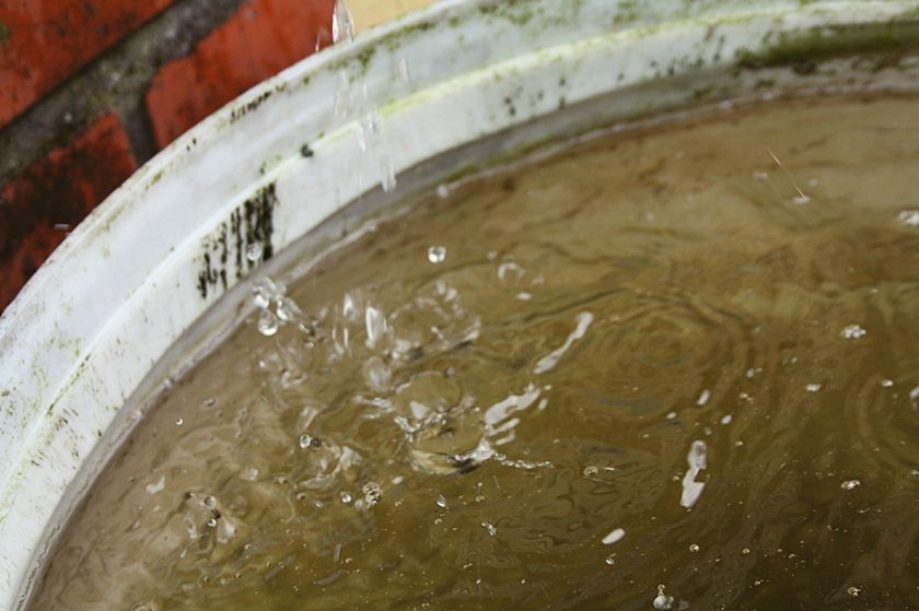  photo 4_zpsf03591af.jpg