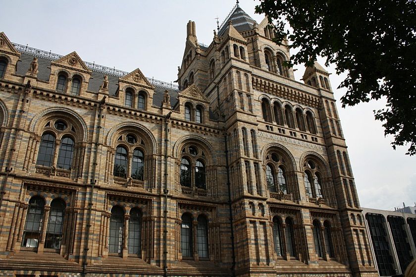 photo 59_zps623a6327.jpg