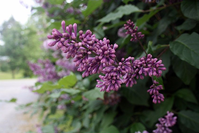  photo 5_zps62263050.jpg