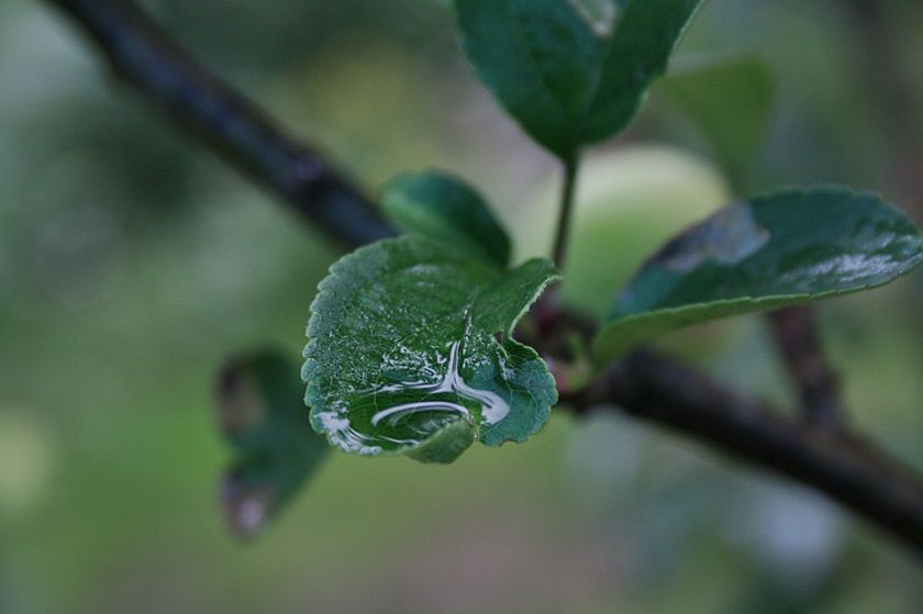  photo 5_zps9064d92b.jpg