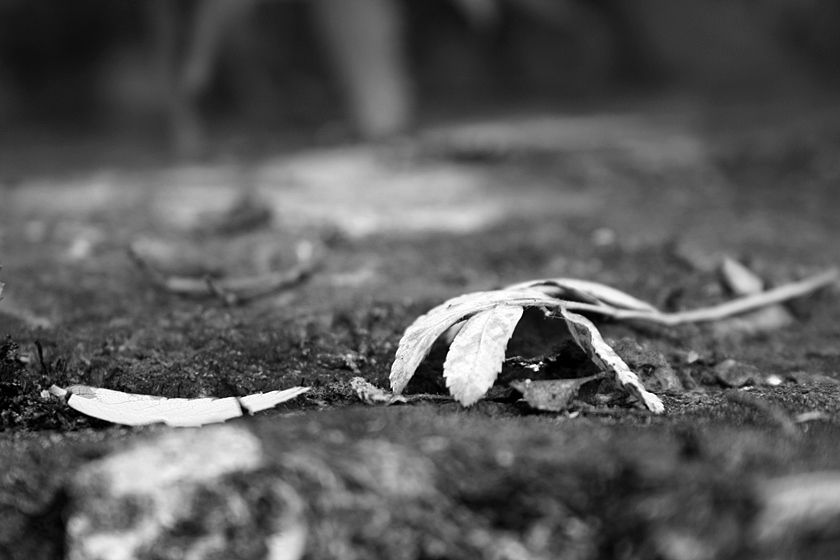  photo 5_zpsc6d6f4ad.jpg