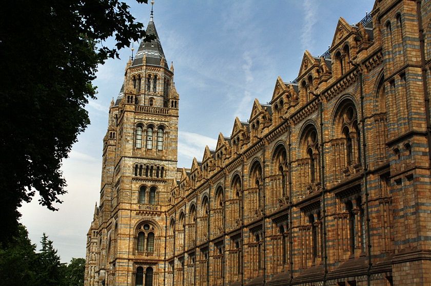  photo 60_zpsf9990157.jpg