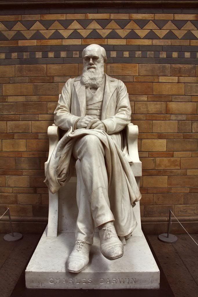 photo 63_zps9cb3d572.jpg