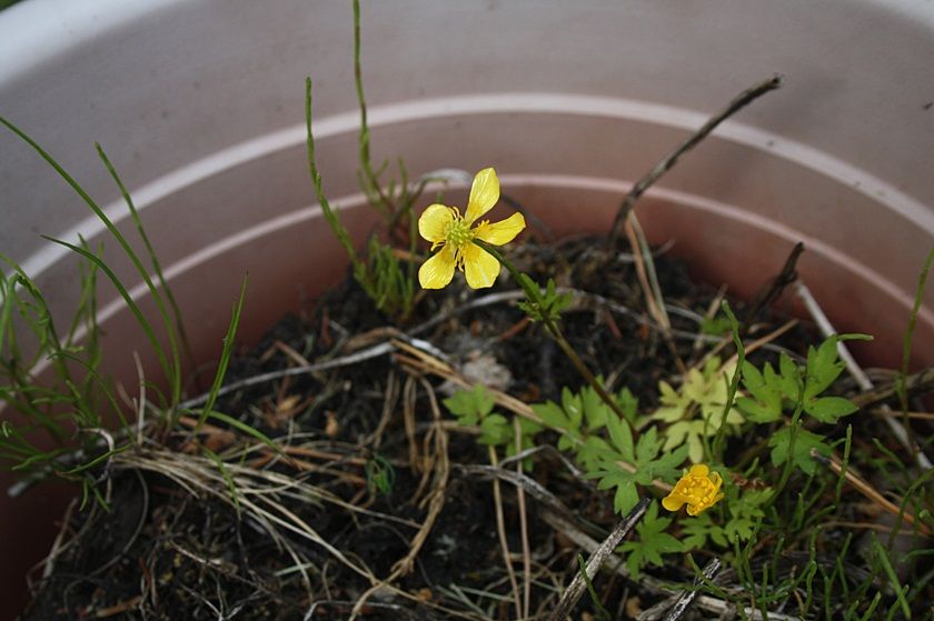  photo 6_zps0c11af98.jpg