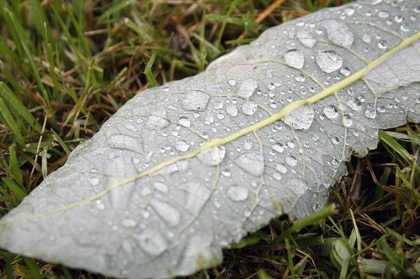  photo 6_zps7f3ddeae.jpg