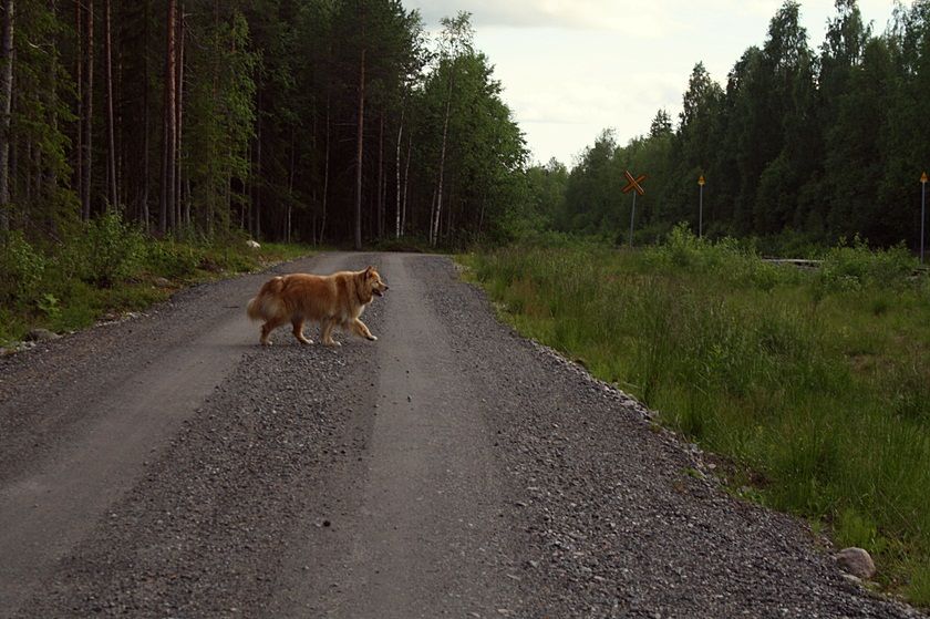 photo 6_zps96250235.jpg