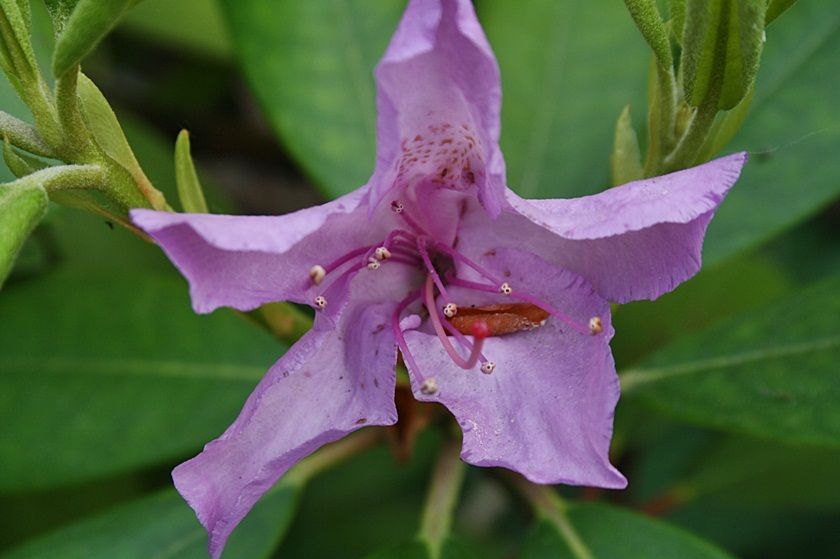  photo 7_zps260519e5.jpg