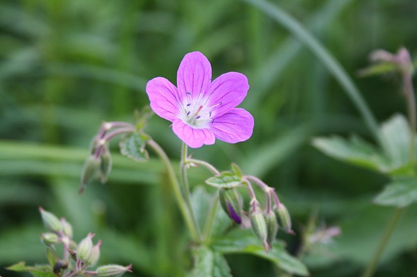 photo 7_zps59454e43.jpg