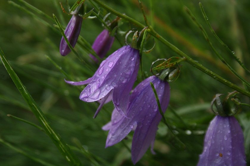  photo 7_zpsda70a7ba.jpg