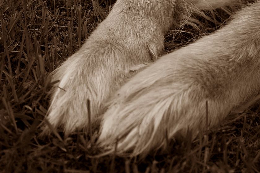  photo 7_zpse622a444.jpg