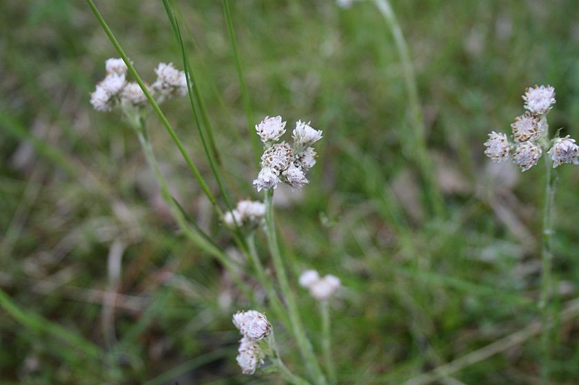 photo 8_zps709ea5e4.jpg