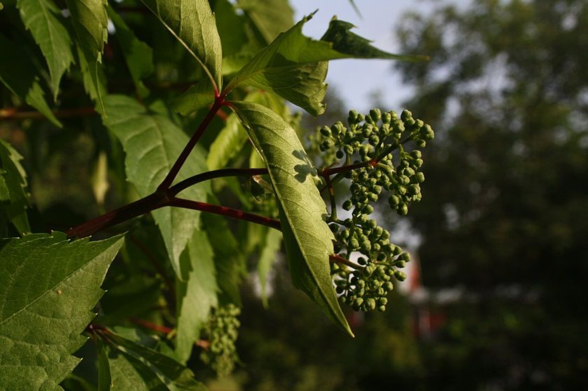 photo 8_zpsa08b7a21.jpg