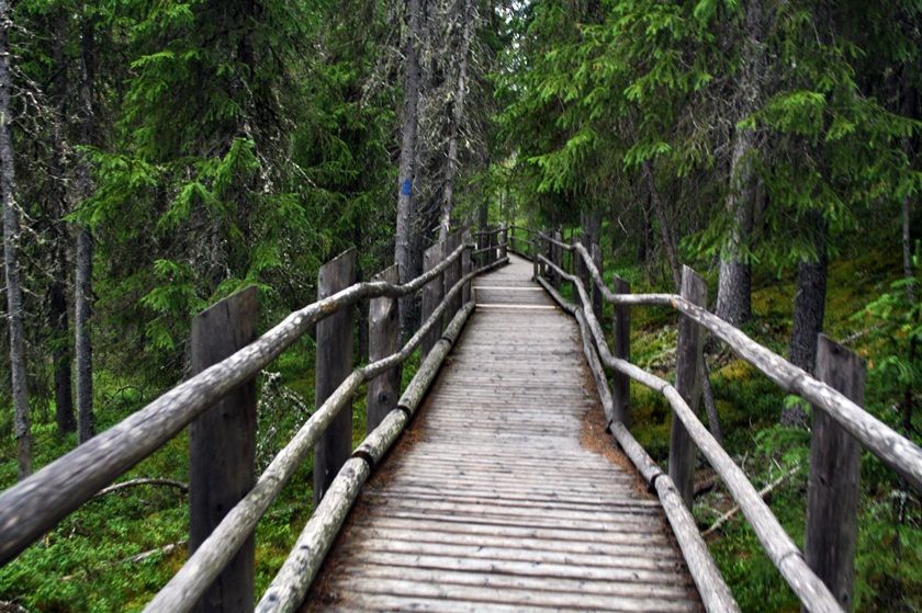  photo 9_zps9bef24cb.jpg