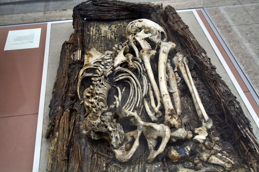 photo 9_zpsae01fb40.jpg