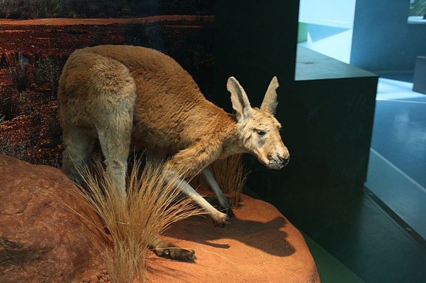  photo BREMEN2013314_zps38c39529.jpg