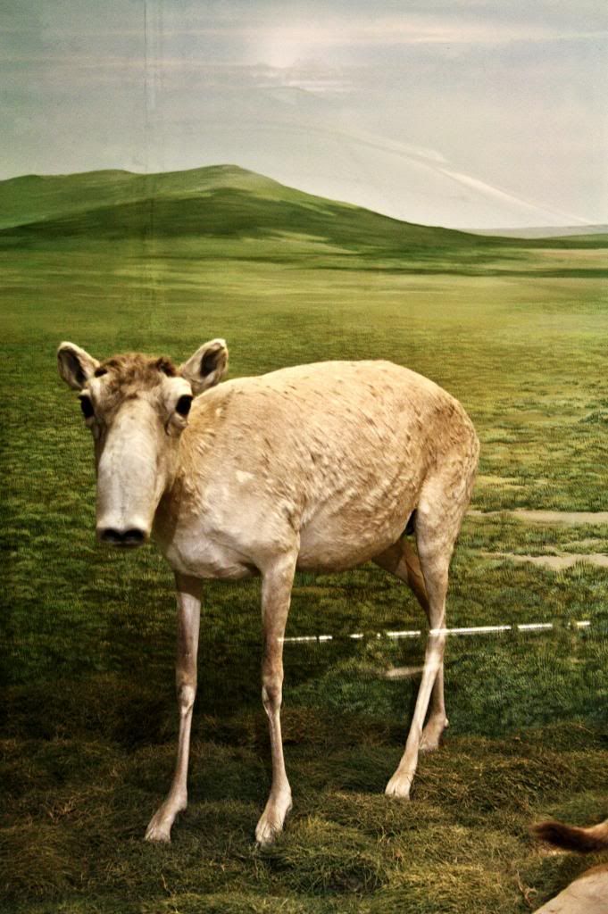  photo BREMEN2013327_zpsec4e7f8b.jpg