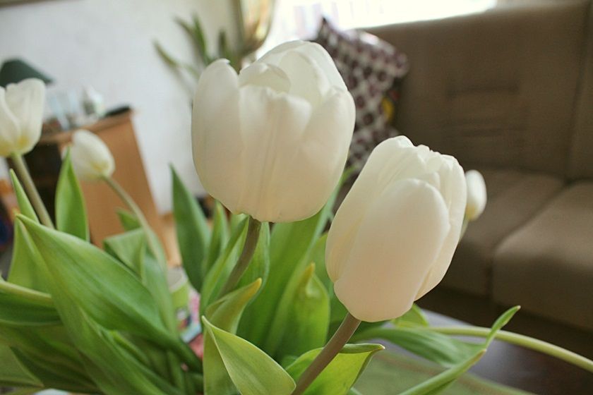 photo LOMA006_zpsea938bc1.jpg