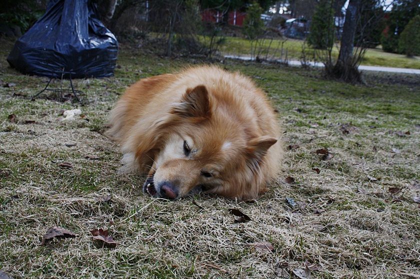  photo kevaumlt004_zpsbf45b31c.jpg