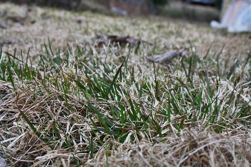  photo kevaumlt015_zps5d501619.jpg