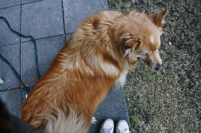  photo kevaumlt023_zpsb6e47766.jpg