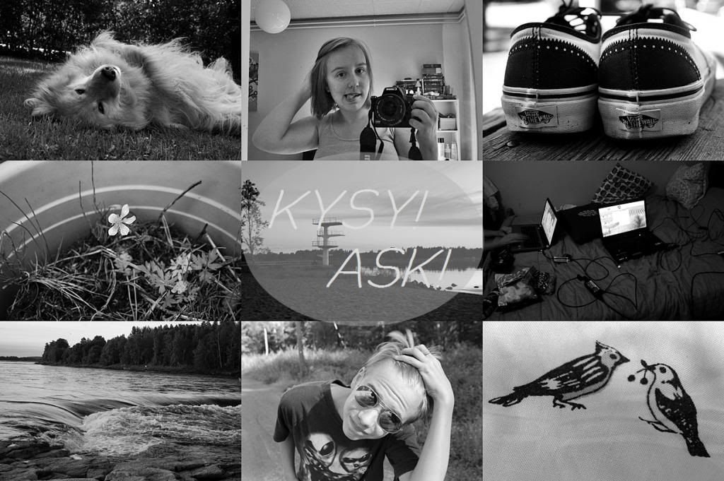  photo kysy_zps67e04cb7.jpg