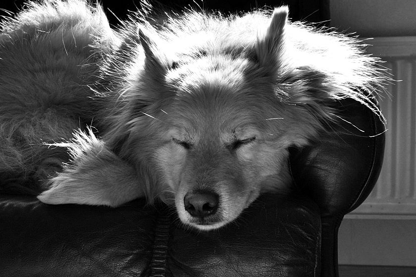 photo 0051_zps377cafe0.jpg