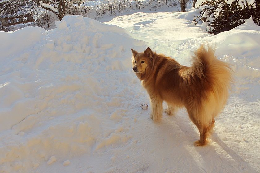  photo randommm083_zpsc8630a85.jpg