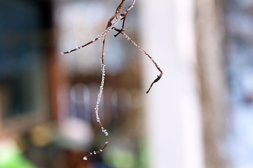  photo randommm102_zps959e41a1.jpg