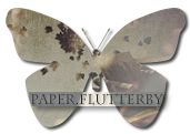 paper.flutterby