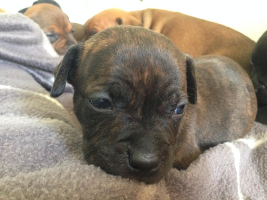 254249DB-CC12-479B-8DA3-06AD5692A3EC_zps