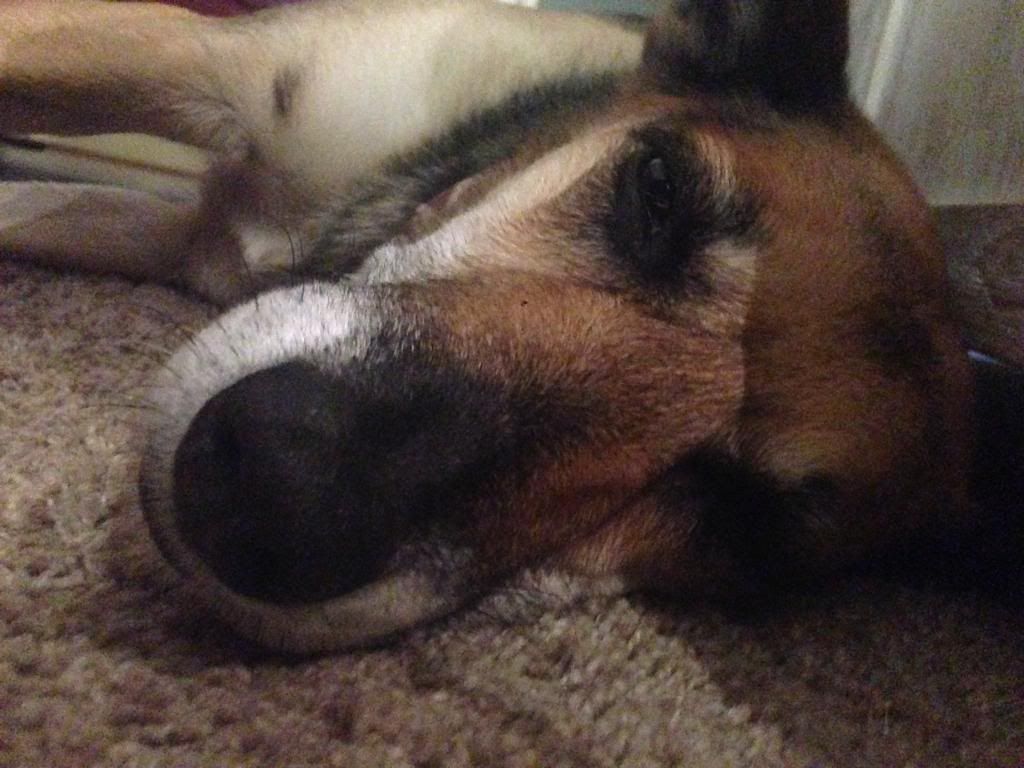 F590BA38-8AB8-472C-89EF-32171CE83245_zps