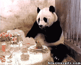 expectations-violated-g2.gif