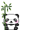 panda-branch1.gif