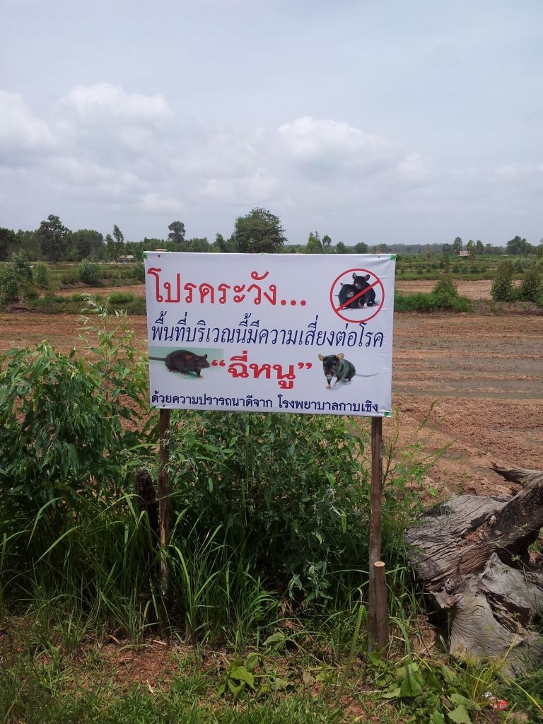 20120615_112132.jpg